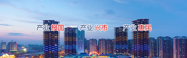 集团概况